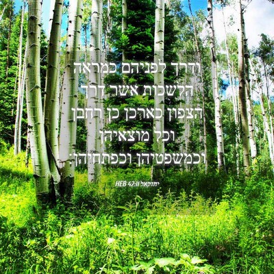 Picture 04 - יחזקאל 42:11 HEB - ודרך לפניהם כמראה הלשכות - Bible Verse Picture
