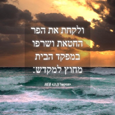 Picture 04 - יחזקאל 43:21 HEB - ולקחת את הפר החטאת ושרפו - Bible Verse Picture