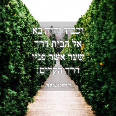 Picture 04 - יחזקאל 43:4 HEB - וכבוד יהוה בא אל הבית דרך - Bible Verse Picture