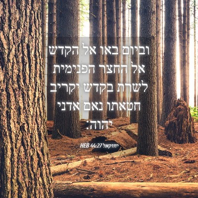 Picture 04 - יחזקאל 44:27 HEB - וביום באו אל הקדש אל החצר - Bible Verse Picture