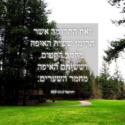 Picture 04 - יחזקאל 45:13 HEB - זאת התרומה אשר תרימו ששית - Bible Verse Picture