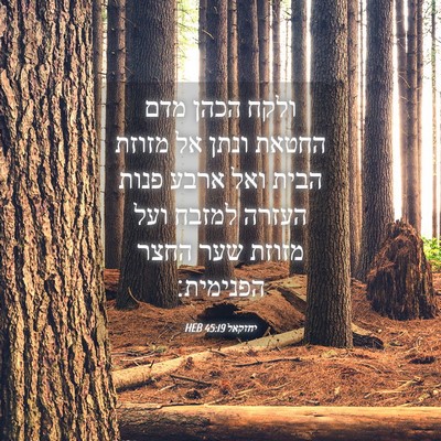 Picture 04 - יחזקאל 45:19 HEB - ולקח הכהן מדם החטאת ונתן אל - Bible Verse Picture