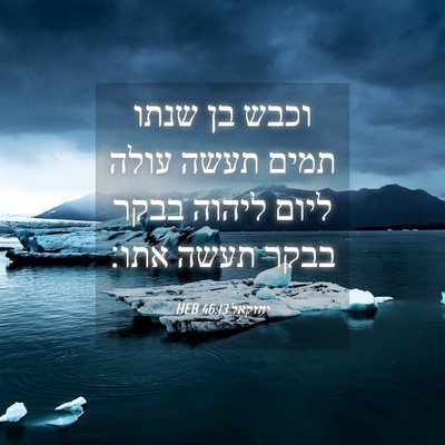 Picture 04 - יחזקאל 46:13 HEB - וכבש בן שנתו תמים תעשה עולה - Bible Verse Picture