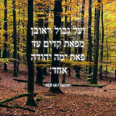 Picture 04 - יחזקאל 48:7 HEB - ועל גבול ראובן מפאת קדים עד - Bible Verse Picture