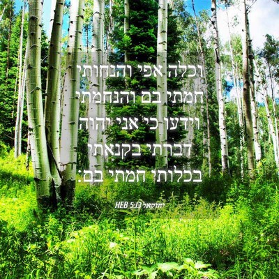 Picture 04 - יחזקאל 5:13 HEB - וכלה אפי והנחותי חמתי בם - Bible Verse Picture