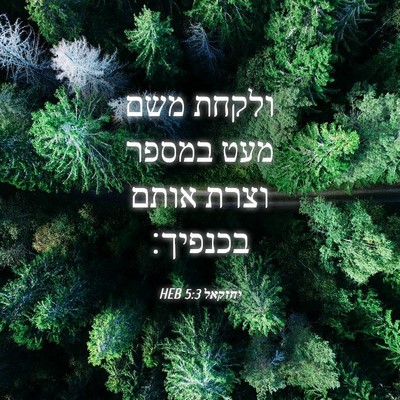 Picture 04 - יחזקאל 5:3 HEB - ולקחת משם מעט במספר וצרת - Bible Verse Picture