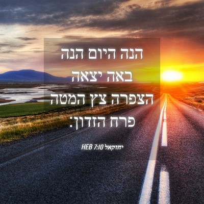 Picture 04 - יחזקאל 7:10 HEB - הנה היום הנה באה יצאה הצפרה - Bible Verse Picture