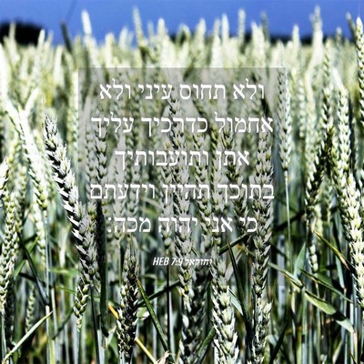 Picture 04 - יחזקאל 7:9 HEB - ולא תחוס עיני ולא אחמול - Bible Verse Picture
