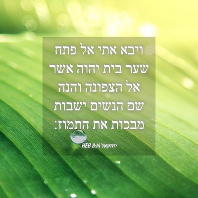 Picture 04 - יחזקאל 8:14 HEB - ויבא אתי אל פתח שער בית - Bible Verse Picture