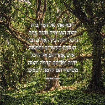 Picture 04 - יחזקאל 8:16 HEB - ויבא אתי אל חצר בית יהוה - Bible Verse Picture