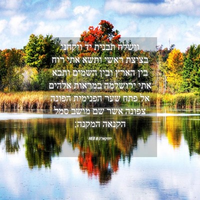 Picture 04 - יחזקאל 8:3 HEB - וישלח תבנית יד ויקחני - Bible Verse Picture