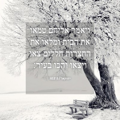 Picture 04 - יחזקאל 9:7 HEB - ויאמר אליהם טמאו את הבית - Bible Verse Picture