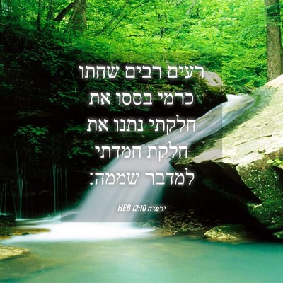 Picture 04 - ירמיה 12:10 HEB - רעים רבים שחתו כרמי בססו את - Bible Verse Picture