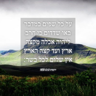 Picture 04 - ירמיה 12:12 HEB - על כל שפים במדבר באו שדדים - Bible Verse Picture