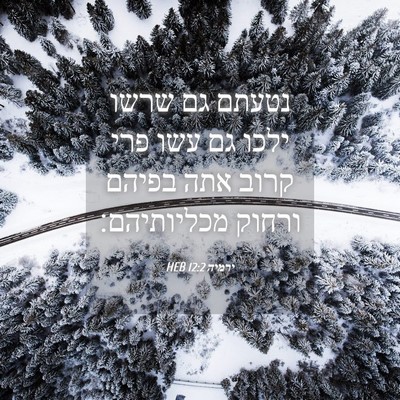 Picture 04 - ירמיה 12:2 HEB - נטעתם גם שרשו ילכו גם עשו - Bible Verse Picture