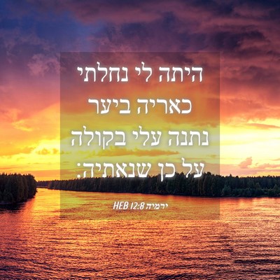Picture 04 - ירמיה 12:8 HEB - היתה לי נחלתי כאריה ביער - Bible Verse Picture