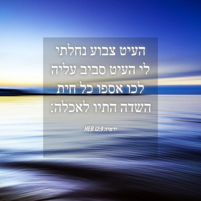 Picture 04 - ירמיה 12:9 HEB - העיט צבוע נחלתי לי העיט - Bible Verse Picture