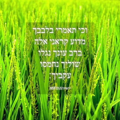 Picture 04 - ירמיה 13:22 HEB - וכי תאמרי בלבבך מדוע קראני - Bible Verse Picture