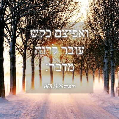 Picture 04 - ירמיה 13:24 HEB - ואפיצם כקש עובר לרוח - Bible Verse Picture