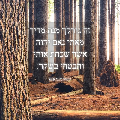 Picture 04 - ירמיה 13:25 HEB - זה גורלך מנת מדיך מאתי נאם - Bible Verse Picture