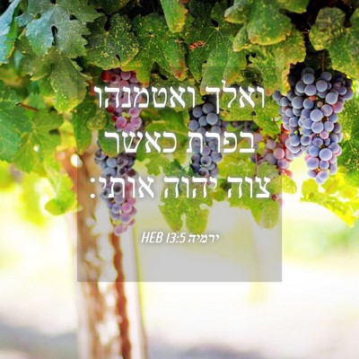 Picture 04 - ירמיה 13:5 HEB - ואלך ואטמנהו בפרת כאשר צוה - Bible Verse Picture