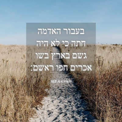 Picture 04 - ירמיה 14:4 HEB - בעבור האדמה חתה כי לא היה - Bible Verse Picture