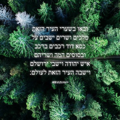 Picture 04 - ירמיה 17:25 HEB - ובאו בשערי העיר הזאת מלכים - Bible Verse Picture