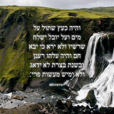 Picture 04 - ירמיה 17:8 HEB - והיה כעץ שתול על מים ועל - Bible Verse Picture