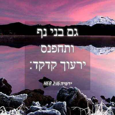 Picture 04 - ירמיה 2:16 HEB - גם בני נף ותחפנס ירעוך - Bible Verse Picture
