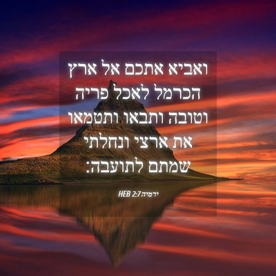 Picture 04 - ירמיה 2:7 HEB - ואביא אתכם אל ארץ הכרמל - Bible Verse Picture