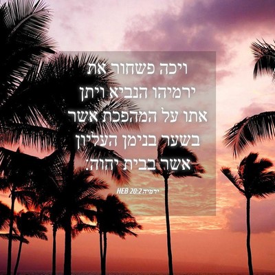 Picture 04 - ירמיה 20:2 HEB - ויכה פשחור את ירמיהו הנביא - Bible Verse Picture