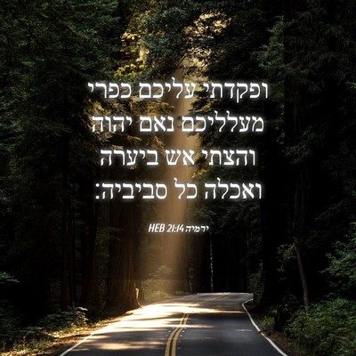 Picture 04 - ירמיה 21:14 HEB - ופקדתי עליכם כפרי מעלליכם - Bible Verse Picture