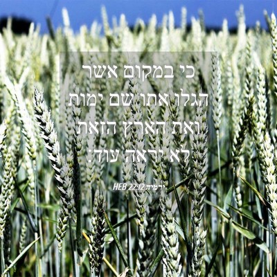 Picture 04 - ירמיה 22:12 HEB - כי במקום אשר הגלו אתו שם - Bible Verse Picture
