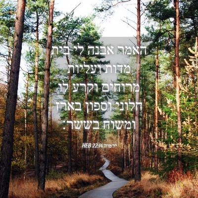 Picture 04 - ירמיה 22:14 HEB - האמר אבנה לי בית מדות - Bible Verse Picture