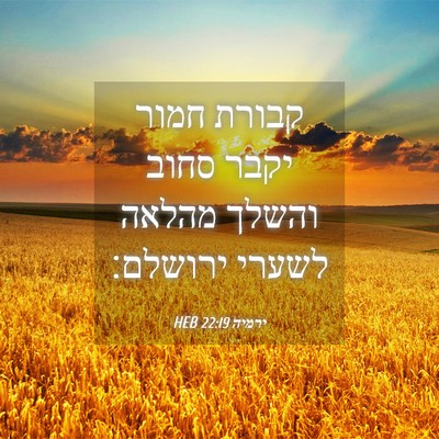 Picture 04 - ירמיה 22:19 HEB - קבורת חמור יקבר סחוב והשלך - Bible Verse Picture