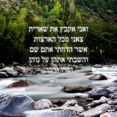 Picture 04 - ירמיה 23:3 HEB - ואני אקבץ את שארית צאני מכל - Bible Verse Picture