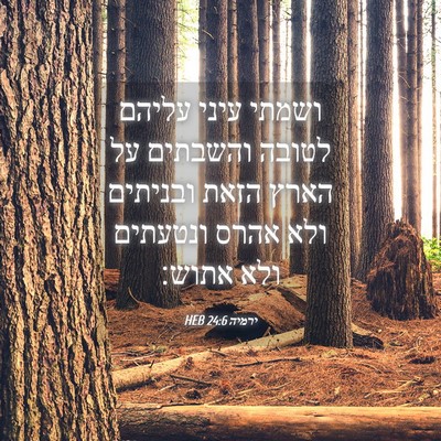 Picture 04 - ירמיה 24:6 HEB - ושמתי עיני עליהם לטובה - Bible Verse Picture