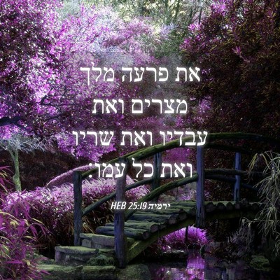 Picture 04 - ירמיה 25:19 HEB - את פרעה מלך מצרים ואת עבדיו - Bible Verse Picture