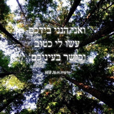 Picture 04 - ירמיה 26:14 HEB - ואני הנני בידכם עשו לי כטוב - Bible Verse Picture