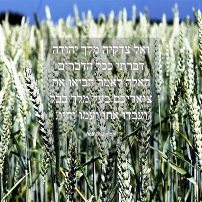 Picture 04 - ירמיה 27:12 HEB - ואל צדקיה מלך יהודה דברתי - Bible Verse Picture