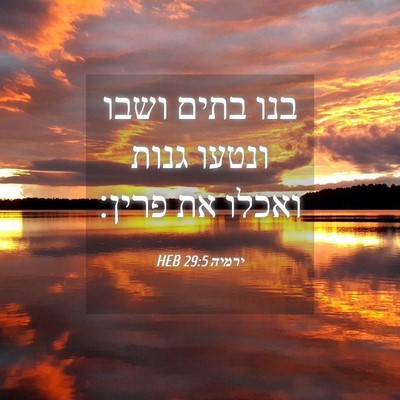 Picture 04 - ירמיה 29:5 HEB - בנו בתים ושבו ונטעו גנות - Bible Verse Picture