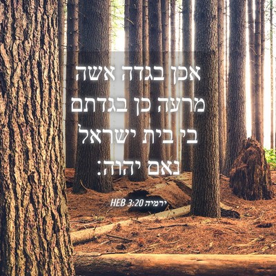 Picture 04 - ירמיה 3:20 HEB - אכן בגדה אשה מרעה כן בגדתם - Bible Verse Picture