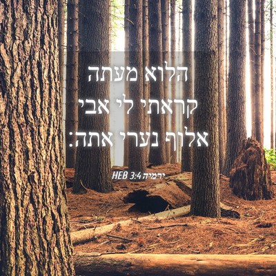 Picture 04 - ירמיה 3:4 HEB - הלוא מעתה קראתי לי אבי אלוף - Bible Verse Picture