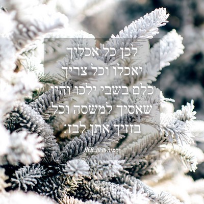 Picture 04 - ירמיה 30:16 HEB - לכן כל אכליך יאכלו וכל צריך - Bible Verse Picture