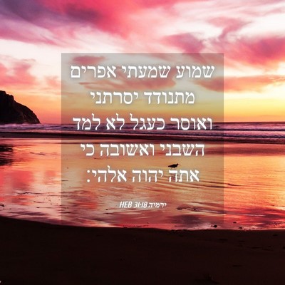 Picture 04 - ירמיה 31:18 HEB - שמוע שמעתי אפרים מתנודד - Bible Verse Picture