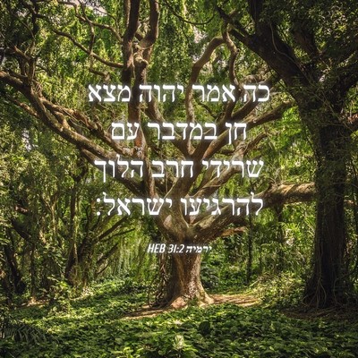 Picture 04 - ירמיה 31:2 HEB - כה אמר יהוה מצא חן במדבר עם - Bible Verse Picture