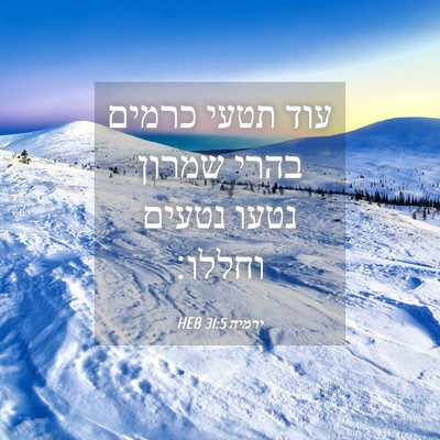 Picture 04 - ירמיה 31:5 HEB - עוד תטעי כרמים בהרי שמרון - Bible Verse Picture