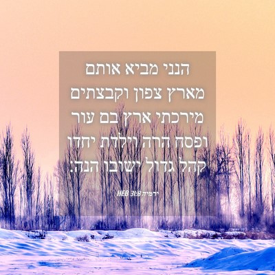 Picture 04 - ירמיה 31:8 HEB - הנני מביא אותם מארץ צפון - Bible Verse Picture