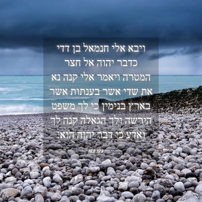 Picture 04 - ירמיה 32:8 HEB - ויבא אלי חנמאל בן דדי כדבר - Bible Verse Picture