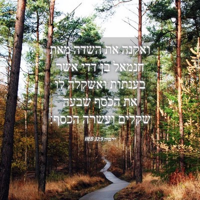 Picture 04 - ירמיה 32:9 HEB - ואקנה את השדה מאת חנמאל בן - Bible Verse Picture